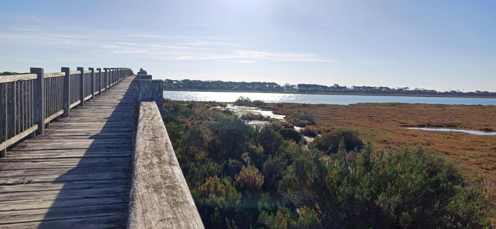 Apartamento Primera Linea De Playa Valdelagrana El Puerto de Santa María Zewnętrze zdjęcie