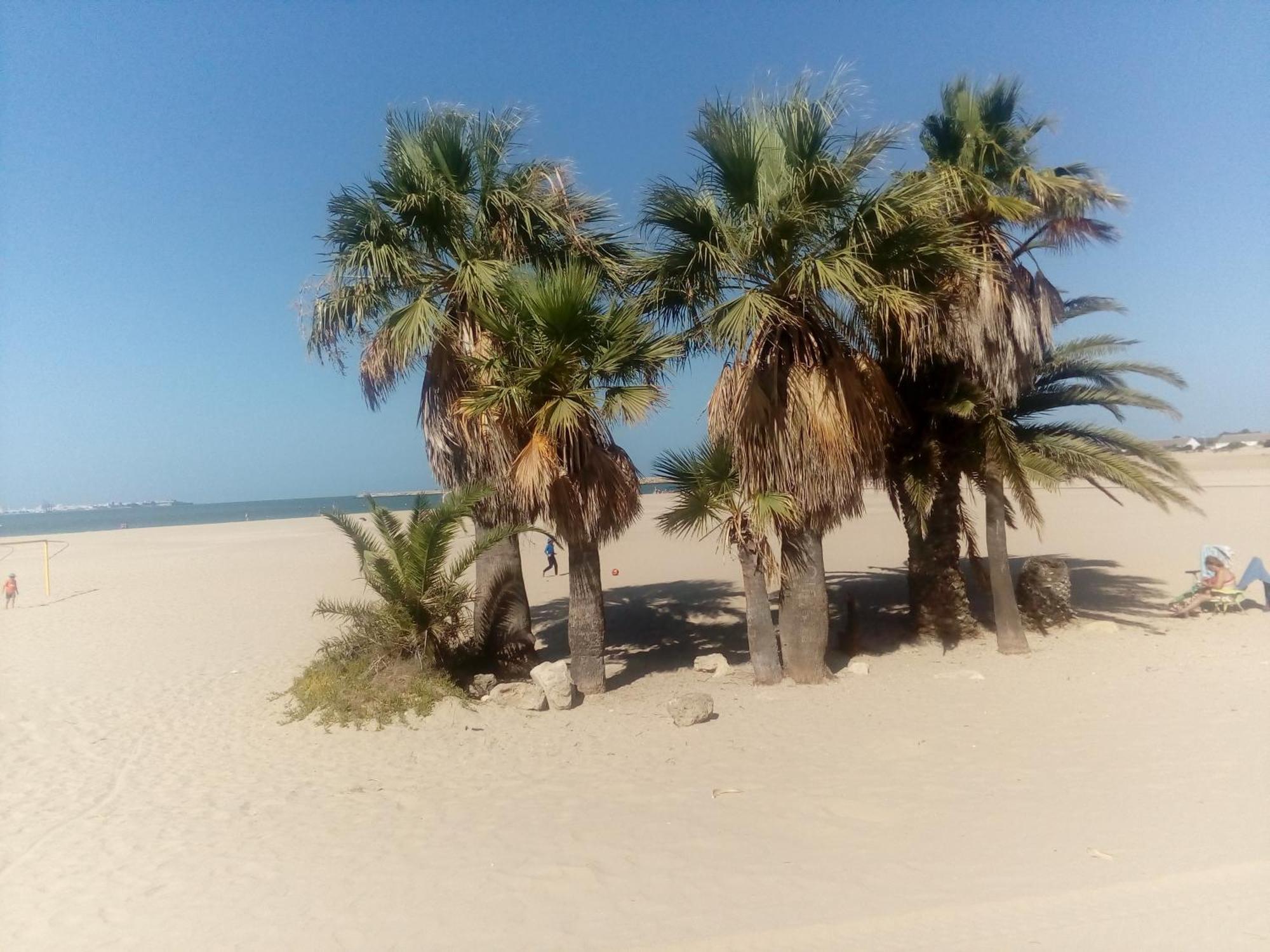 Apartamento Primera Linea De Playa Valdelagrana El Puerto de Santa María Zewnętrze zdjęcie